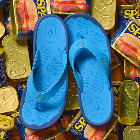 ‘Ohana  -  Bold Blue / Bold Blue