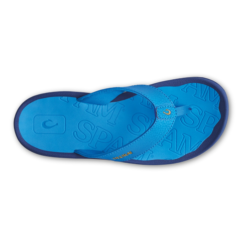 ‘Ohana  -  Bold Blue / Bold Blue
