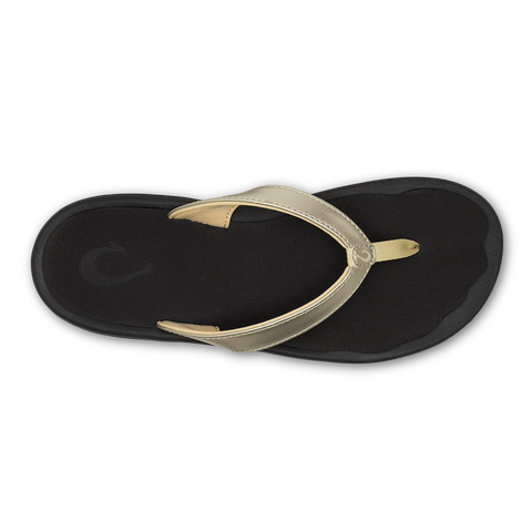 ʻOhana Lahi -  Gold / Black